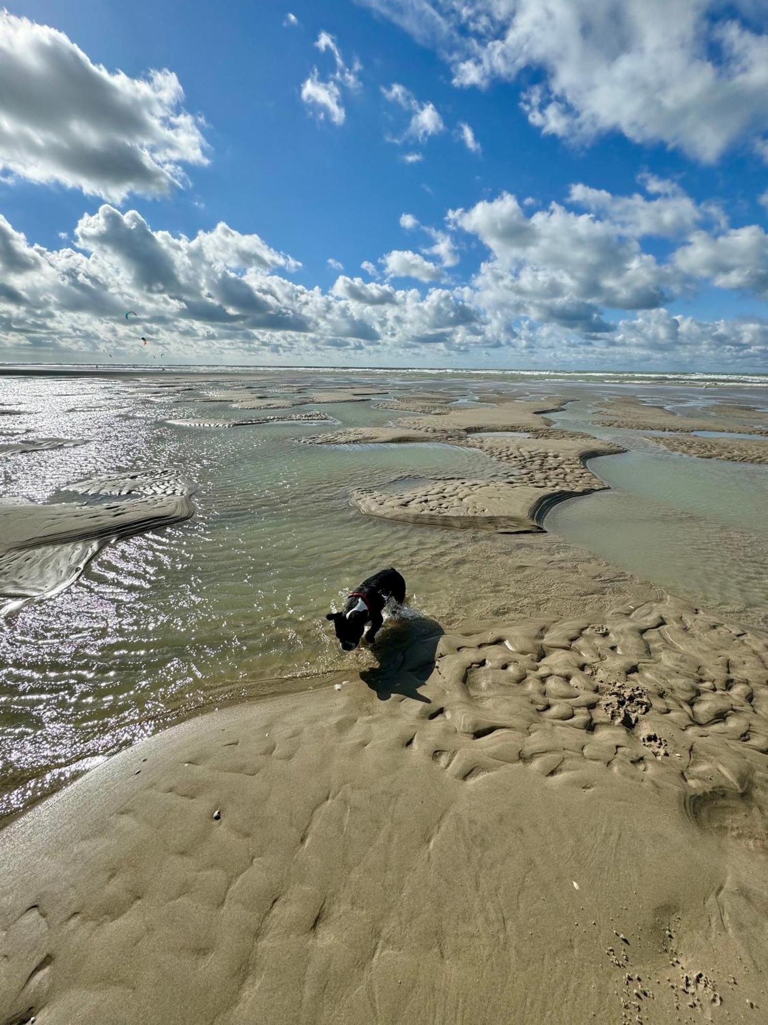 Le Paillette T2 400 M De La Plage Berck Exterior foto