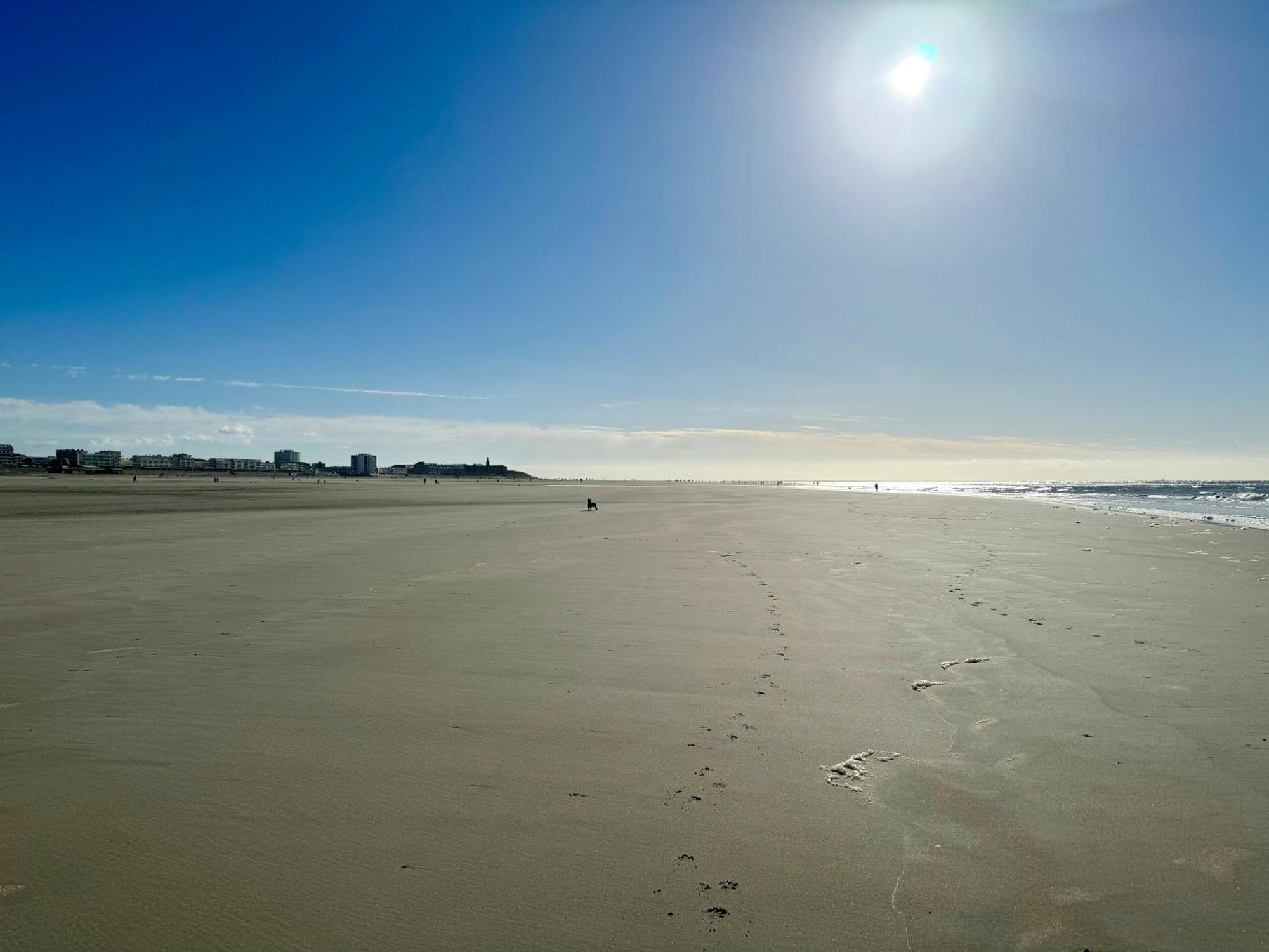 Le Paillette T2 400 M De La Plage Berck Exterior foto