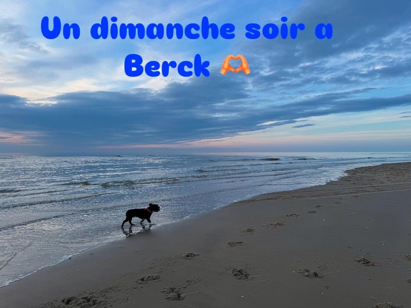 Le Paillette T2 400 M De La Plage Berck Exterior foto